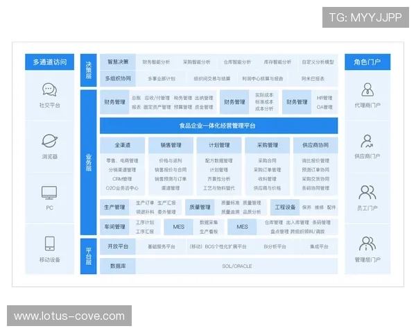 星空官方网站入口软件的优势分析与用户指南