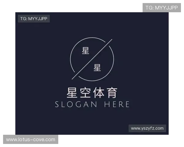 xk星空体育下载入口详细操作流程,帮助新手用户轻松完成软件下载
