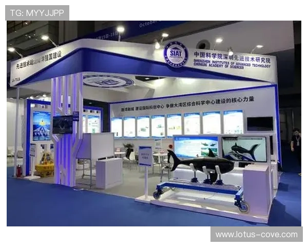 博鱼官网活动解读2026年最新促销方案打造权益最大化体验