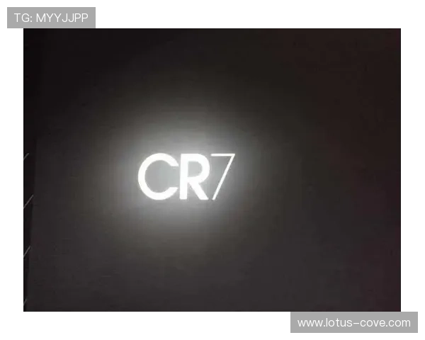 星空体育app网页版登录信息安全维护措施与用户隐私保护说明