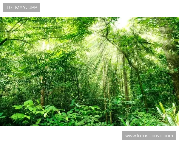 星空登录娱乐平台注重游戏公平性，营造健康绿色的游戏环境，确保每位玩家都能公平竞技